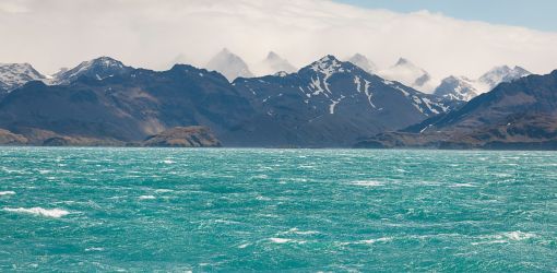 South Georgia Landscape