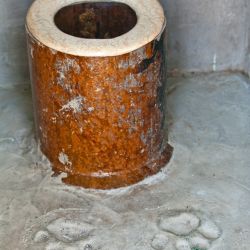 Tiger Outhouse